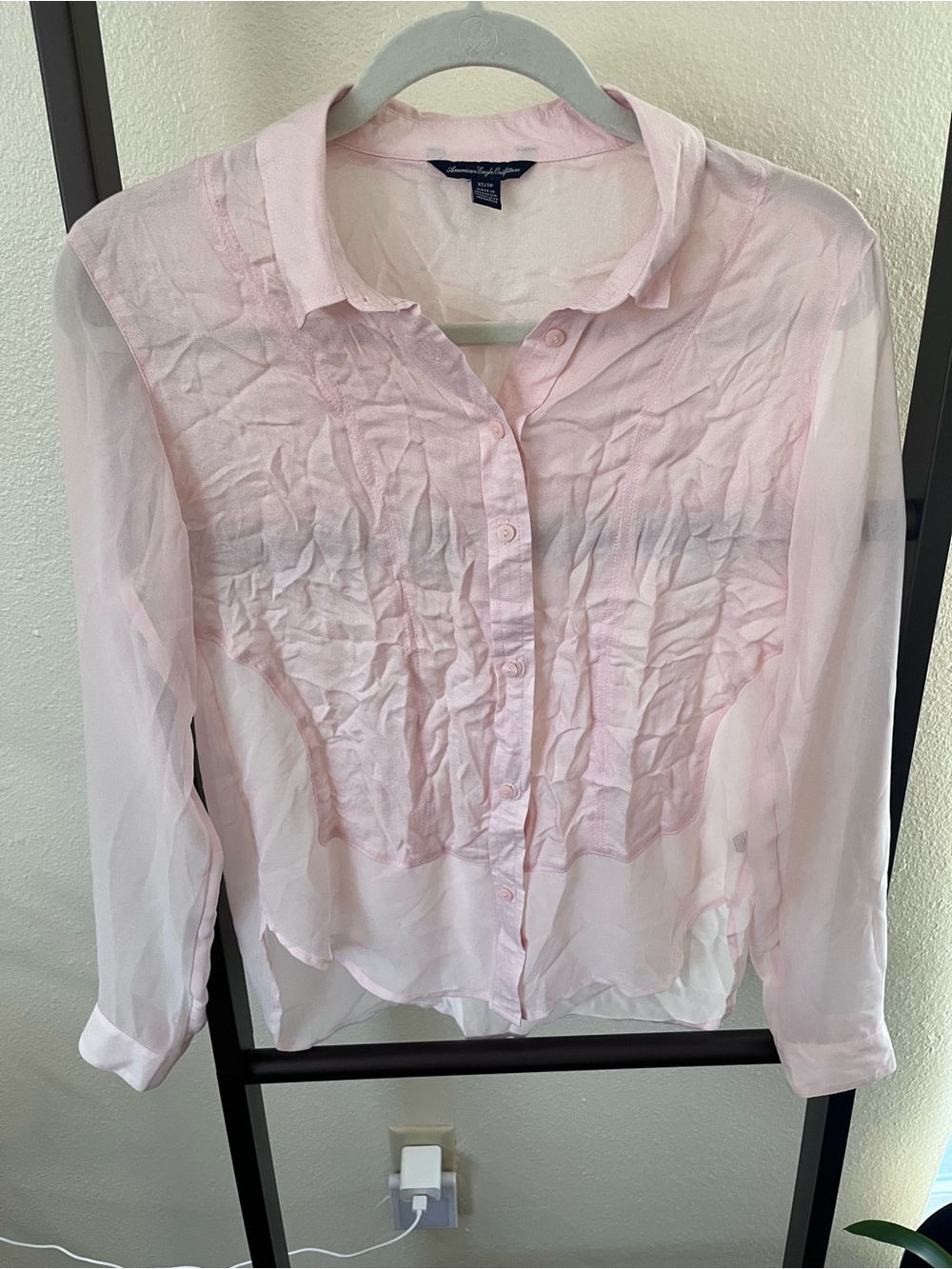 American Eagle Outfitters Pale Pink Sheer Button-Up Blouse